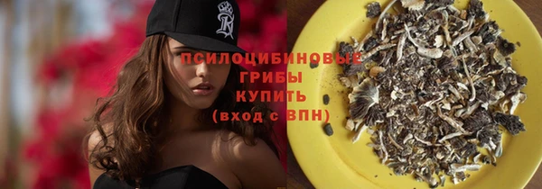2c-b Вяземский
