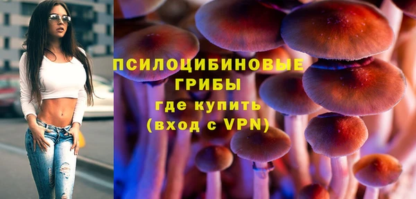 apvp Волосово